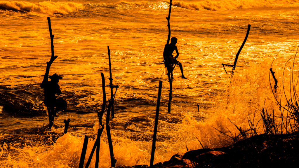 Stilt Fishing, Srilanka